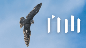 「電話対応なし」の仕事術：HSS型HSP×INTJがストレスフリーで稼ぐ方法