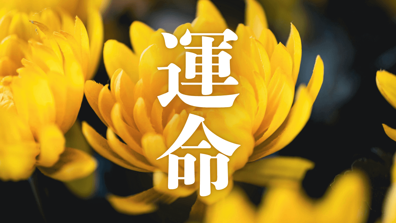 「運命」|【Geminiと対話】新しい世界と新しい時代を開拓する「神の超能力者」が出現したら、世界はどう変わるのか?|魂のままに現実を創造し、新しい時代を生きる