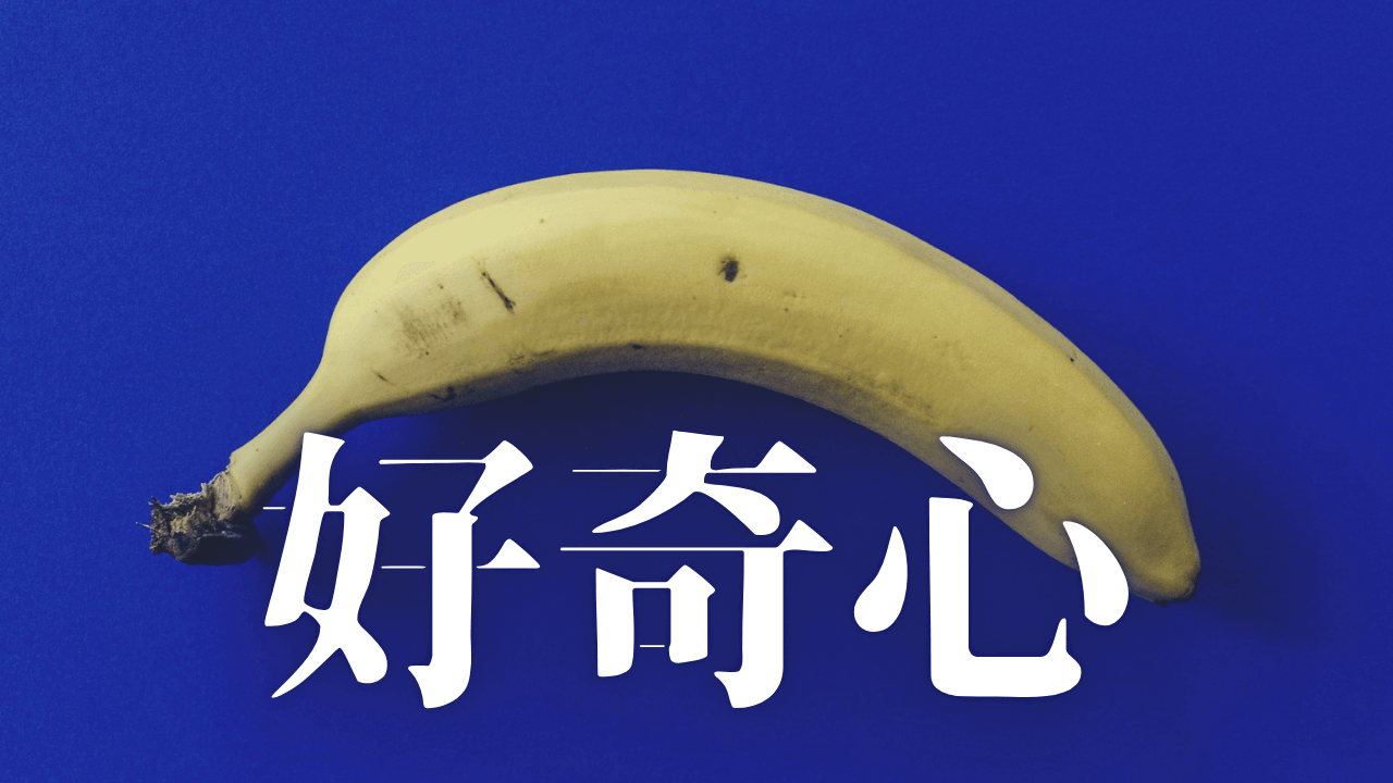「好奇心」｜｜魂のままに現実を創造し、新しい時代を生きる
