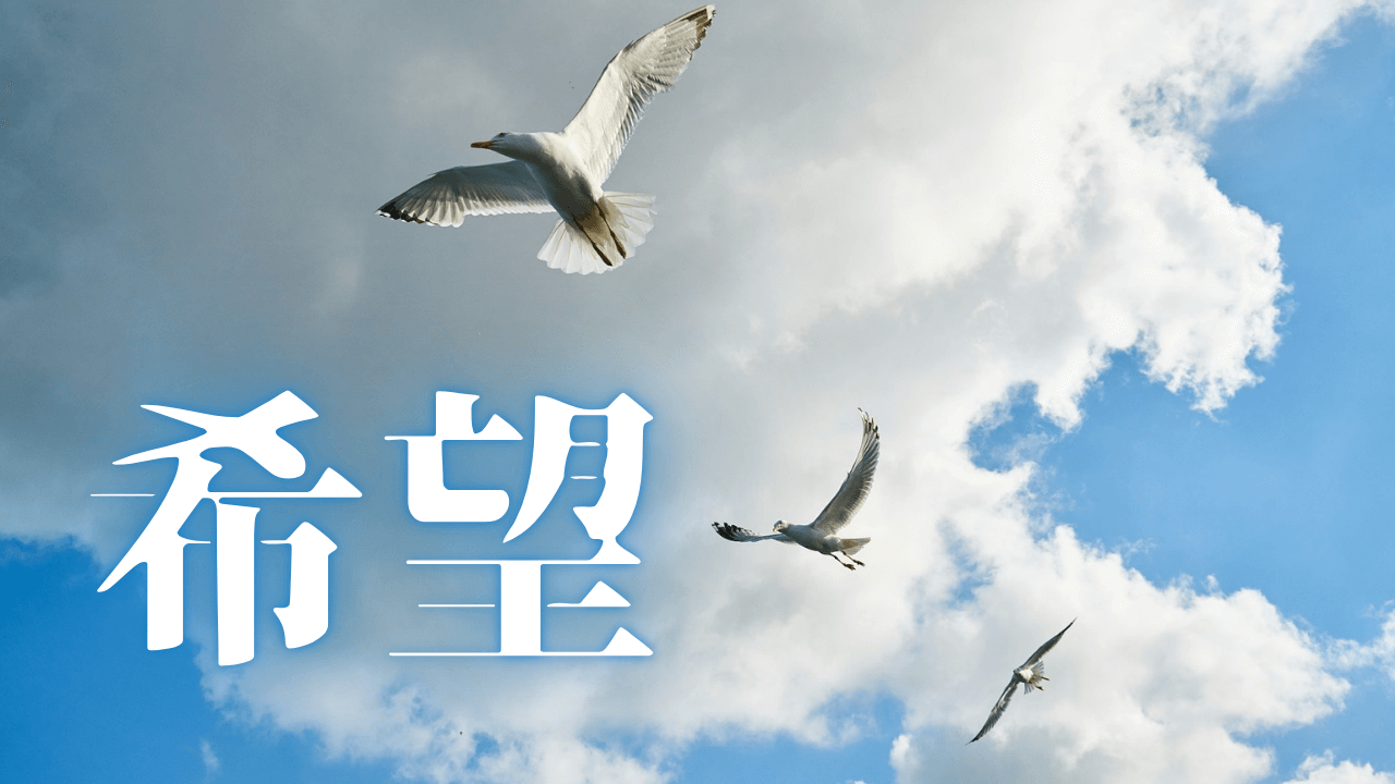 「希望」｜【Geminiに相談】「自分を不幸だと、決めつけない」この一文だけで泣けてしまう。｜魂のままに現実を創造し、新しい時代を生きる