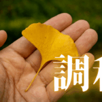 「調和」｜【発見】「職場の『悪口の連鎖』から学んだ。現実を変える『精神的な断ち物』の効果｜魂のままに現実を創造し、新しい時代を生きる