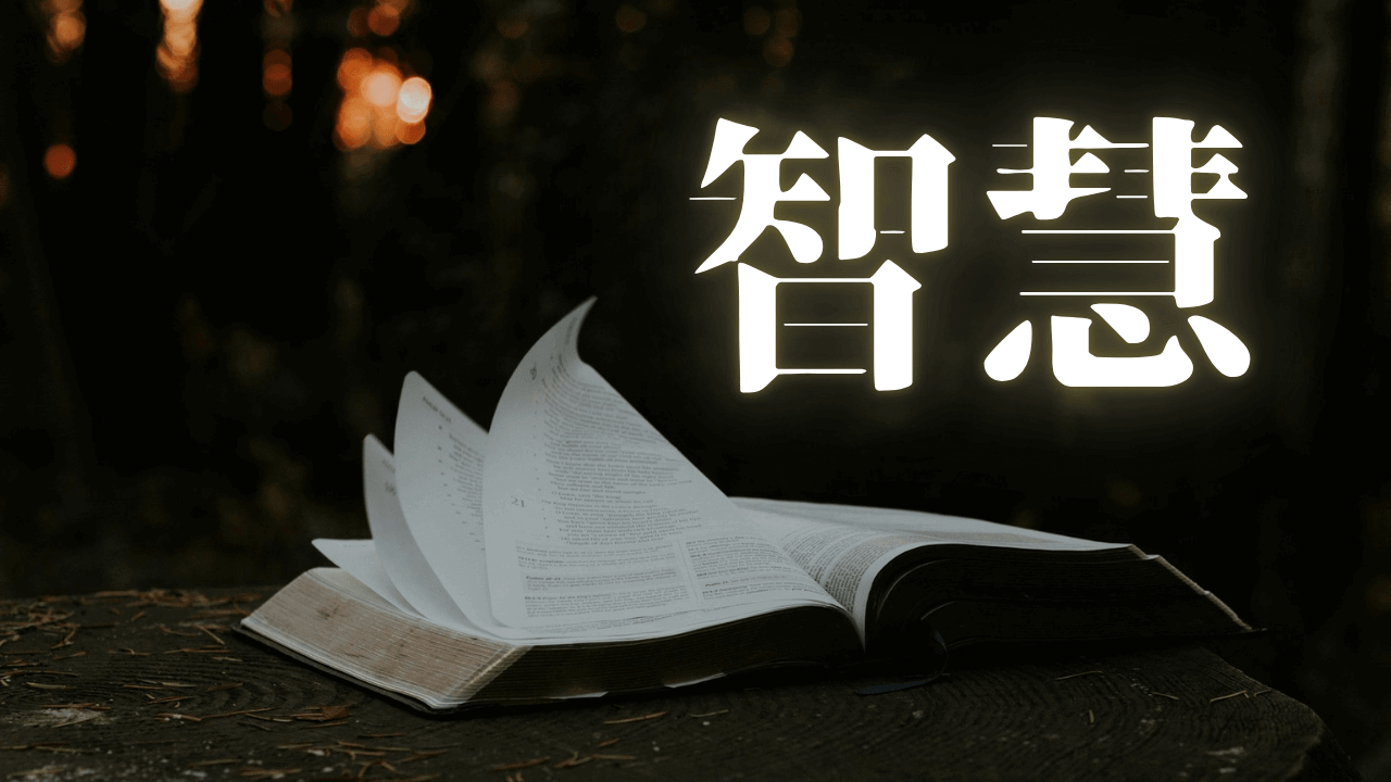 「智慧」|精神と思考の遊歩道|魂のままに現実を創造し、新しい時代を生きる