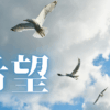 「希望」｜【Geminiに相談】「自分を不幸だと、決めつけない」この一文だけで泣けてしまう。｜魂のままに現実を創造し、新しい時代を生きる