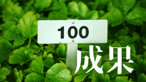 ブログ開設３ヶ月目で記事100本投稿達成！記事執筆時間短縮のための戦略