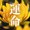 「運命」｜【Geminiと対話】新しい世界と新しい時代を開拓する「神の超能力者」が出現したら、世界はどう変わるのか？｜魂のままに現実を創造し、新しい時代を生きる｜魂のままに現実を創造し、新しい時代を生きる