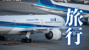 ANAカードが夢の旅と人生の質を決める！時間と心の豊かさを最大化する陸マイラーの戦略的行動指南