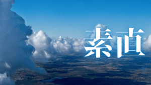 素直な心で世界を再構築：Geminiと創る天動説（Flat Earth）3Dシミュレーター（2025/8/13 更新）