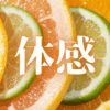 「体感」｜「ながらスマホ」が蝕む集中力の解剖学。食事中のデジタルデトックスから始める、生活再設計のシミュレーション｜魂のままに現実を創造し、新しい時代を生きる