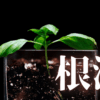「根源」｜【Geminiアプリ付き】心のリセットボタン。ストレスの根源を断つ「今今メソッド」と思考の断捨離｜魂のままに現実を創造し、新しい時代を生きる