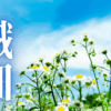 「繊細」｜HSS型HSPとINTJ、二つの特性が織りなす矛盾との対峙：私の精神遊歩録｜魂のままに現実を創造し、新しい時代を生きる