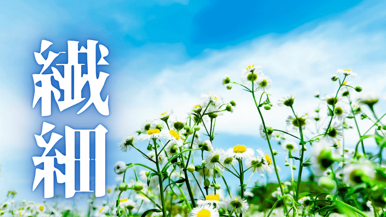 「繊細」｜HSS型HSPとINTJ、二つの特性が織りなす矛盾との対峙：私の精神遊歩録｜魂のままに現実を創造し、新しい時代を生きる