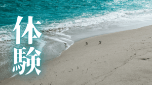 「悟りの境地」へ導く健康習慣。電磁波も慢性疲労も断捨離するアーシング完全ガイド