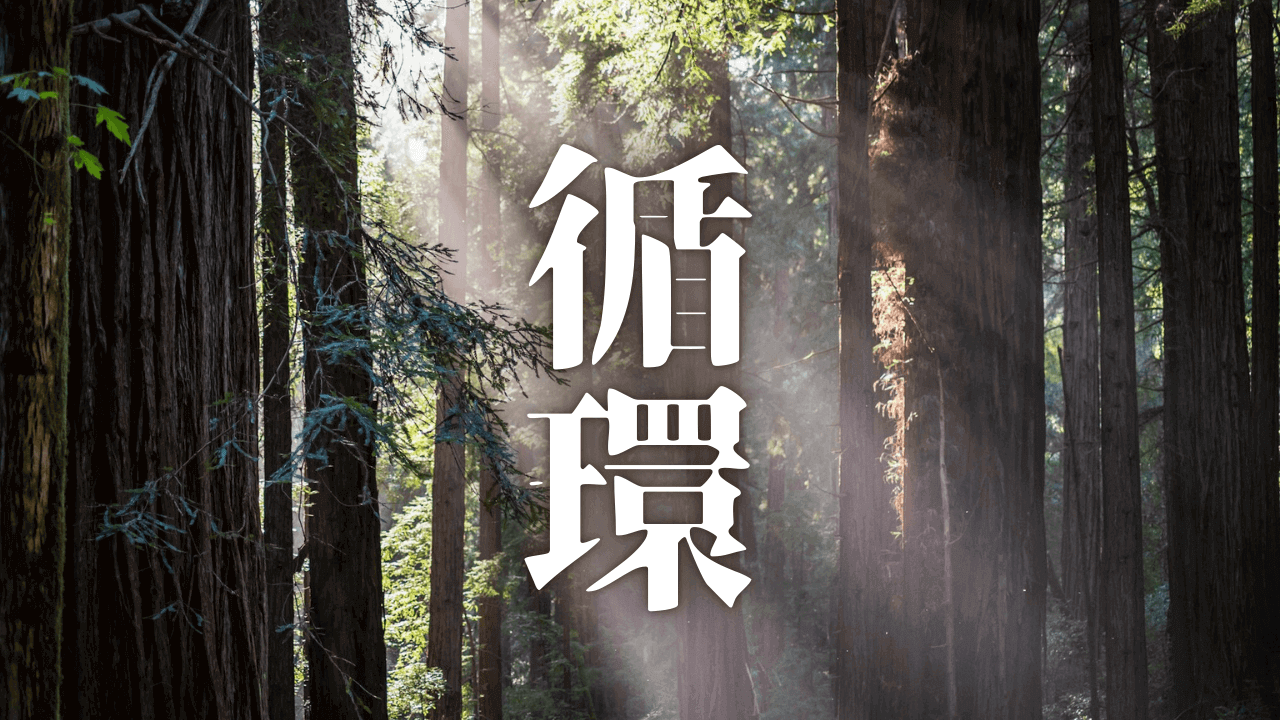 「循環」｜【スワイショウ応用編】「絶縁」を脱ぎ捨て、地球と循環せよ。裸足のグラウンディングが拓く生体電気の再生と、自由な魂のライフスタイル論｜魂のままに現実を創造し、新しい時代を生きる