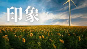 過剰適応の終焉：HSS型HSPが社会で真の自己を受容し戦略的内向性を貫く