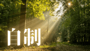 月々3,300円から始める経済的自由への堅実な道：HSPの不安を払拭するS&P500の複利効果と心理的安全性