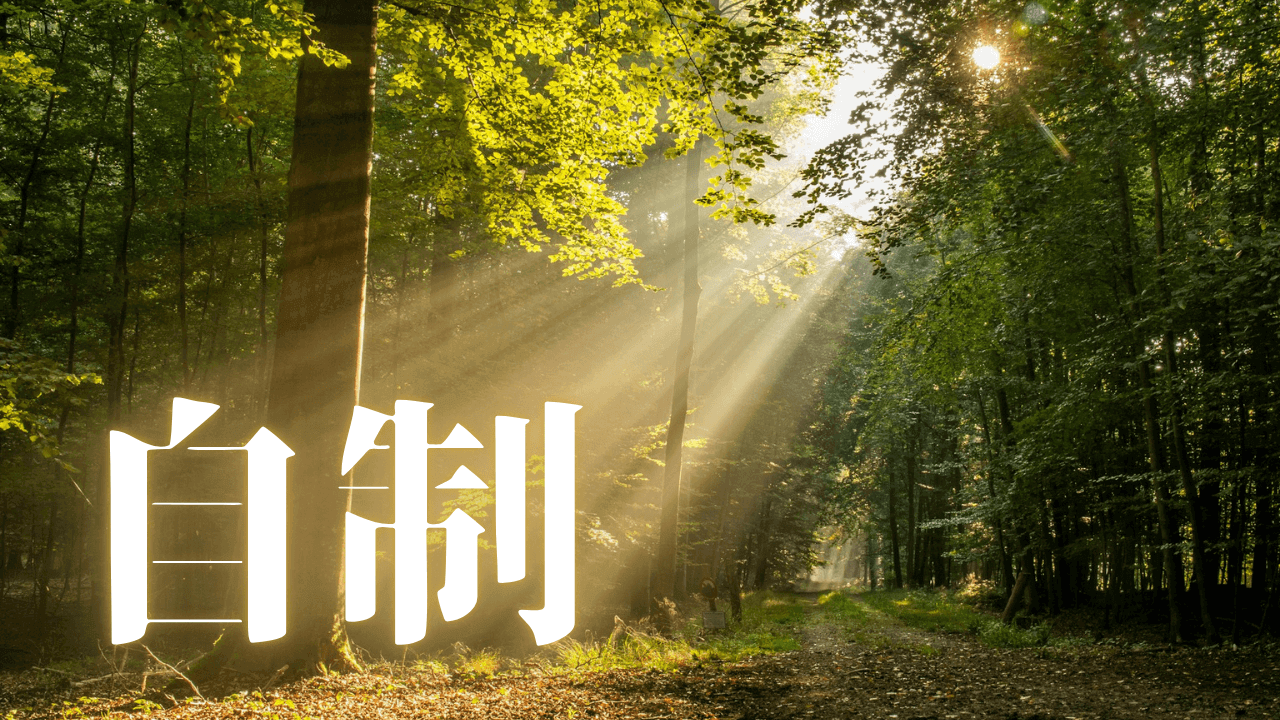 「自制」｜月々3,300円から始める経済的自由への堅実な道：HSPの不安を払拭するS&P500の複利効果と心理的安全性｜魂のままに現実を創造し、新しい時代を生きる