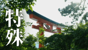 伊勢神宮が特殊とされる理由：唯一神明造と常若の哲学を解き明かし、参拝作法から門前町グルメまで徹底網羅！