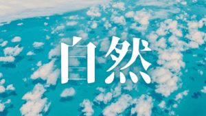 【観想の雫】指先に宿る10年の歳月――銀の「サムハラ神社の御神環」が語る、不動の安心感