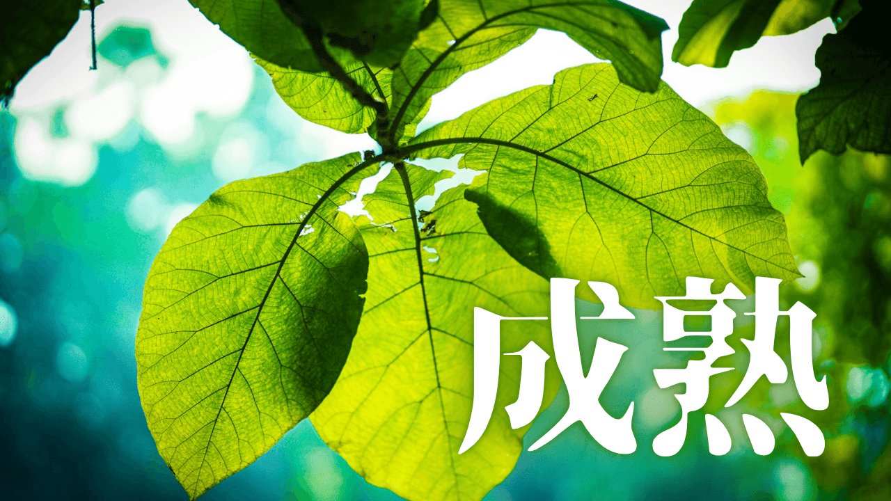 「成熟」｜【生存の余白】退職、転職、そして個の跳躍。知性の積層がもたらした必然の変成 ｜魂のままに現実を創造し、新しい時代を生きる