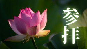 浄土宗総本山・知恩院探索の最適解。壮大な伽藍に秘められた歴史と七不思議の真髄